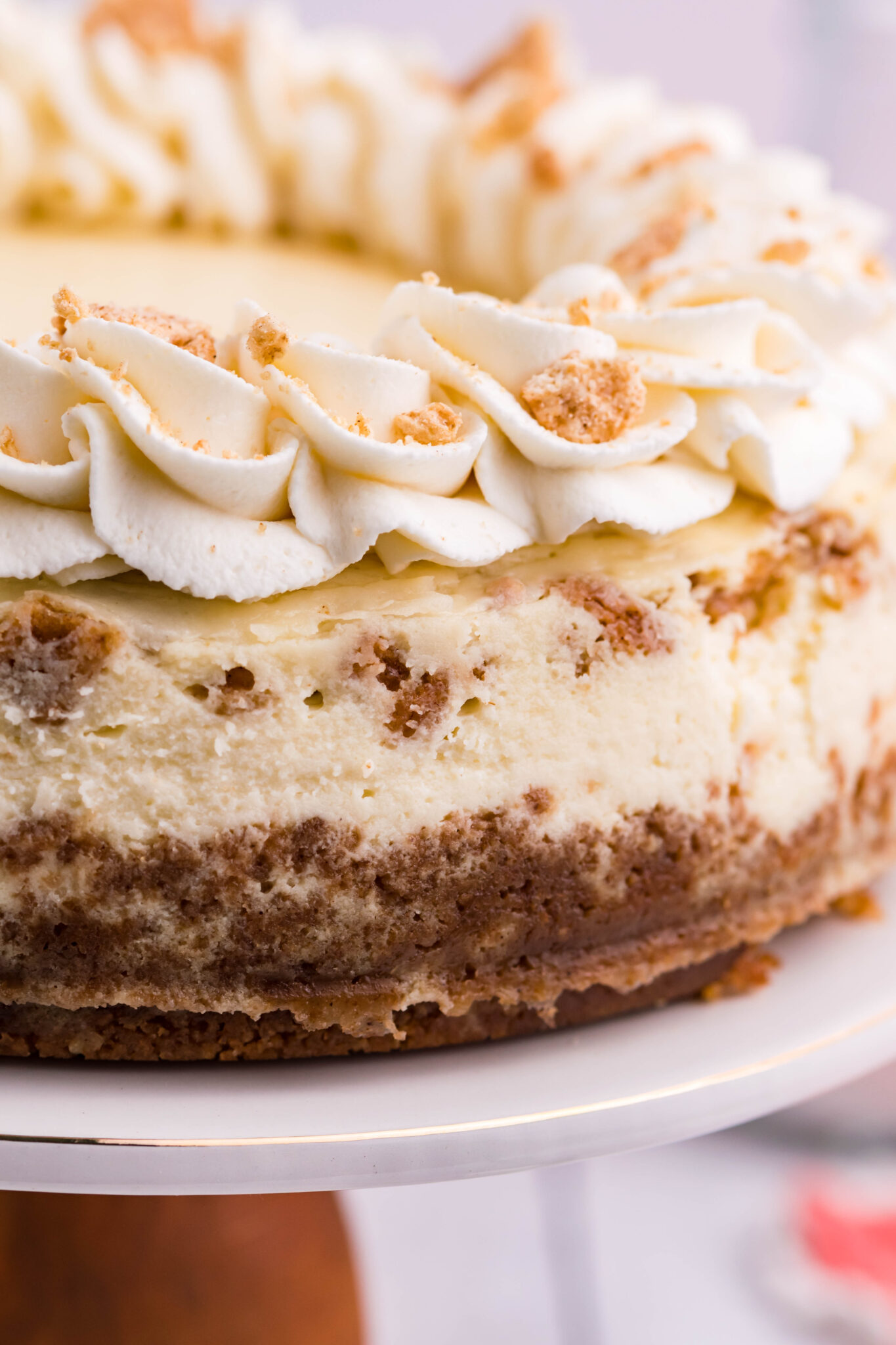 Instant Pot Cinnamon Toast Crunch Cheesecake Baking Up Memories